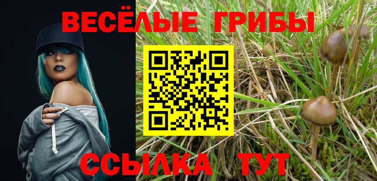 Галлюциногенные грибы Magic Shrooms Вышний Волочёк