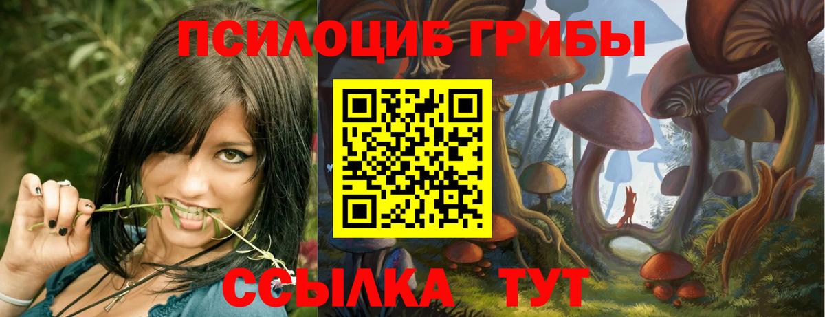 Галлюциногенные грибы Cubensis  Галлюциногенные грибы GOLDEN TEACHER  Вышний Волочёк  где найти наркотики  Вход с VPN 